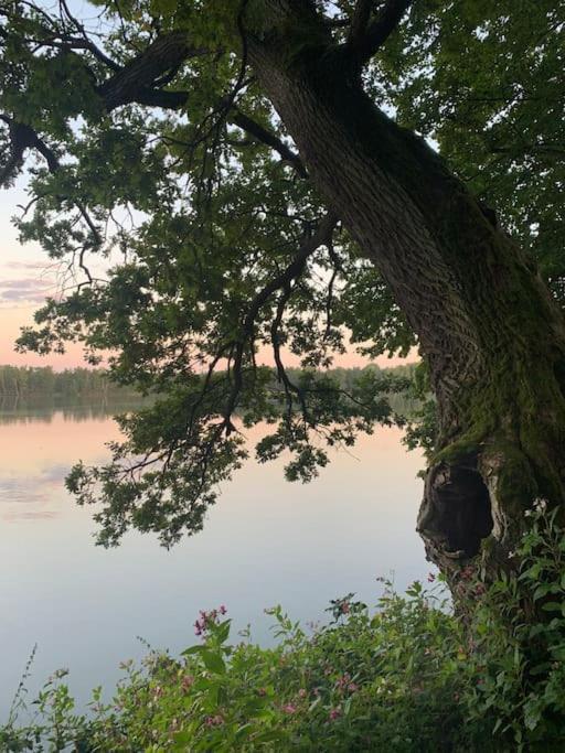 Villa Příjemná chaloupka na Třeboňsku Chlum u Trebone Exterior foto
