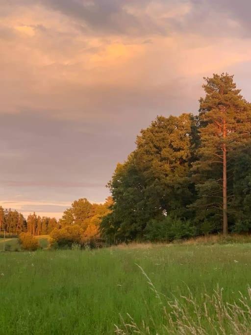 Villa Příjemná chaloupka na Třeboňsku Chlum u Trebone Exterior foto