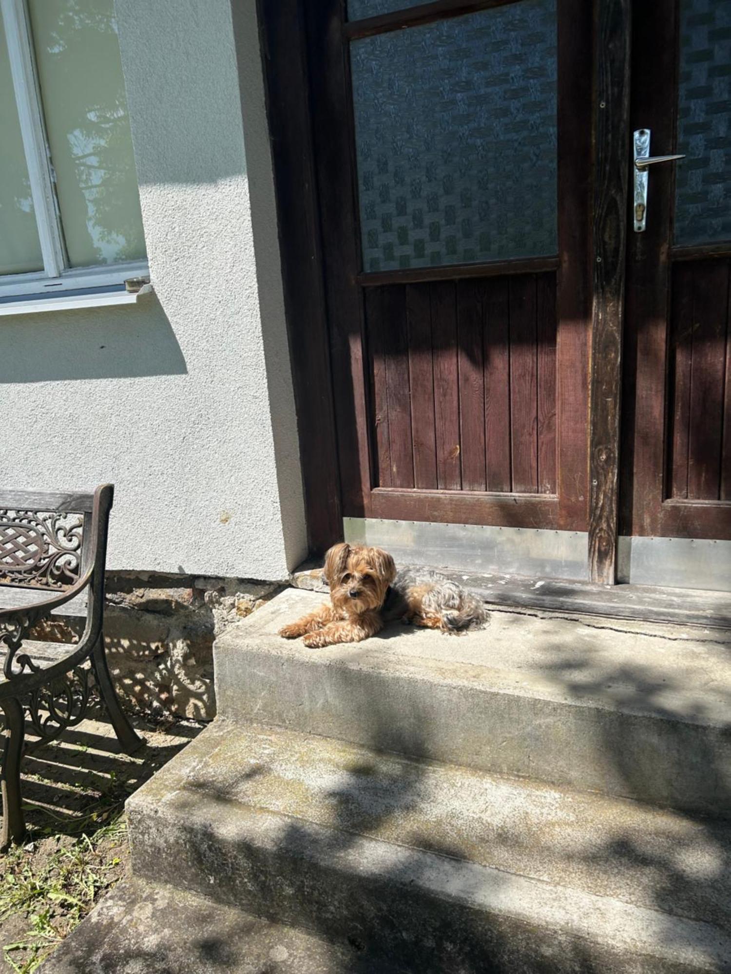 Villa Příjemná chaloupka na Třeboňsku Chlum u Trebone Exterior foto