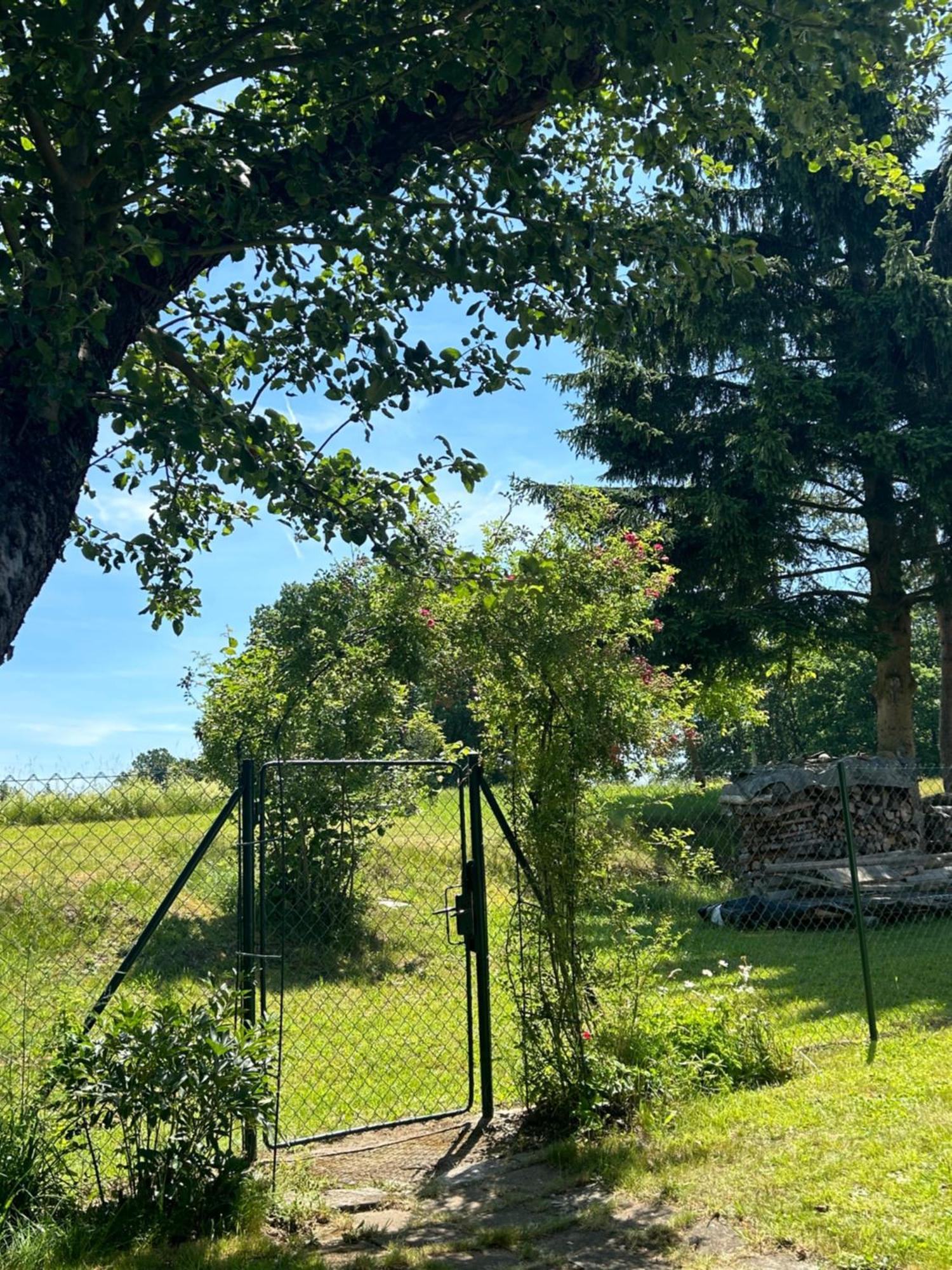Villa Příjemná chaloupka na Třeboňsku Chlum u Trebone Exterior foto